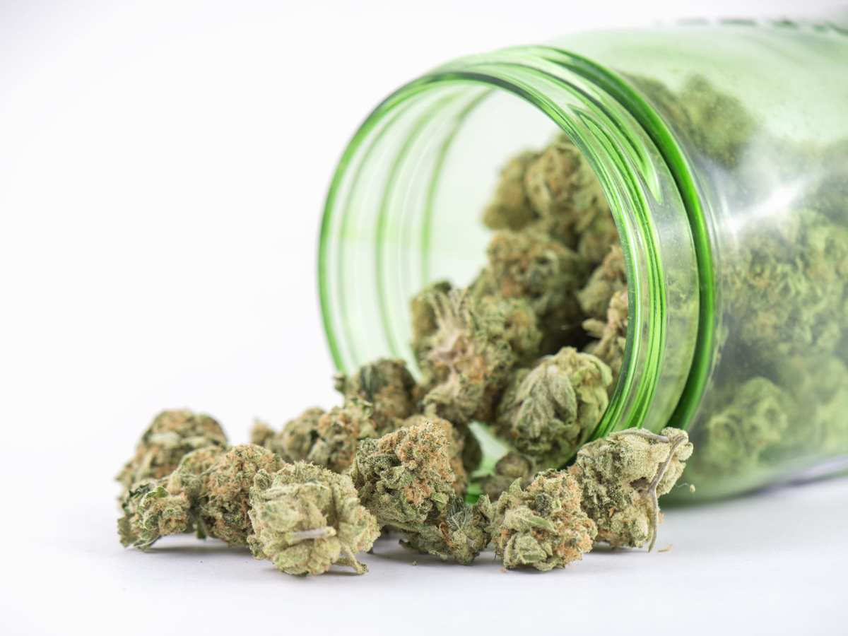 Regulators take aim at ‘wild west’ of cannabis host community agreements